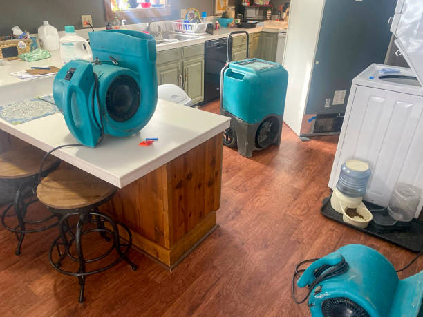 Best 24-hour water damage restoration  in South Lancaster, MA