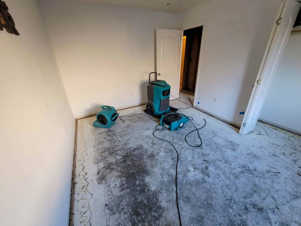 Best Sewage cleanup and water damage restoration  in South Lancaster, MA