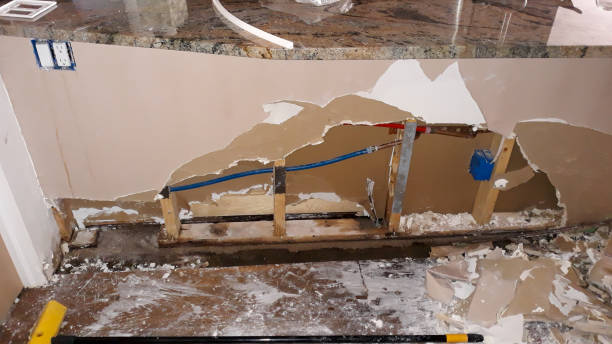 Best Water damage cleanup near me  in South Lancaster, MA