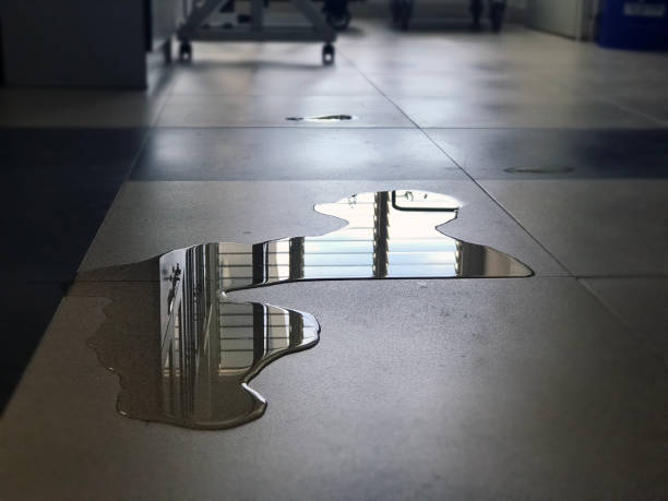 Best Commercial water damage restoration  in South Lancaster, MA